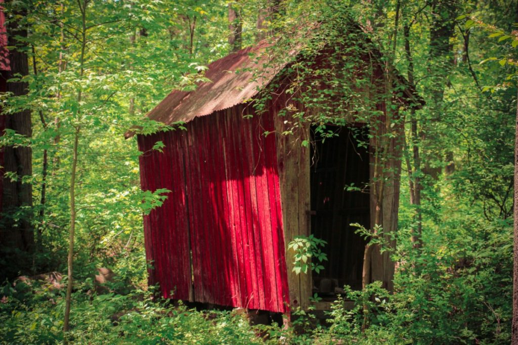 Herrontown woods 42