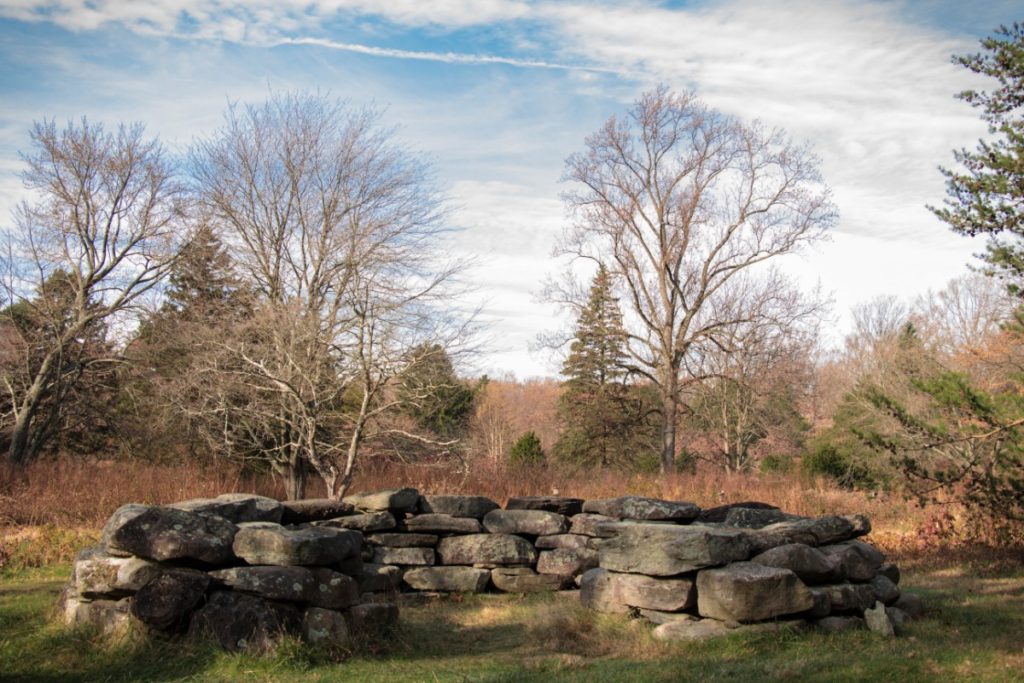 Tyler Arboretum 70